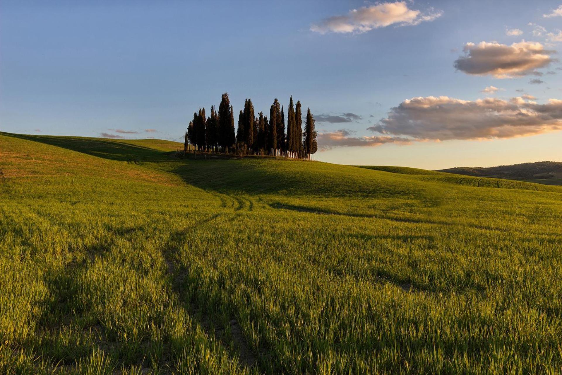 Apartmán Casa Giulia, Il Gioiello Del Borgo Certaldo Exteriér fotografie